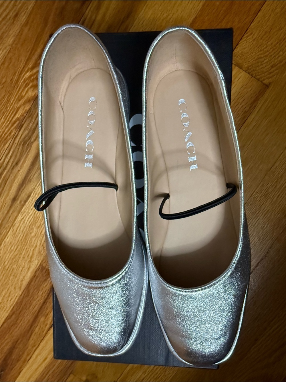 Coach Emilia women’s Silver Ballet Flats - Metallic Leather